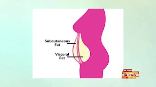 The Dangers of Visceral Fat