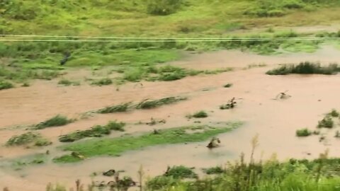 Evening flood check. Day 2