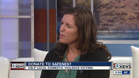 Liz Ortenburger for SafeNest on August 21