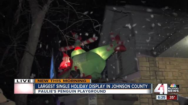 Local holiday display raises money for cancer research