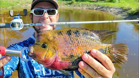 Fishing Bizarre Exotic Fish in Florida's Canals