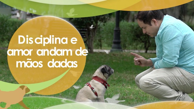 Disciplina e amor vão juntos