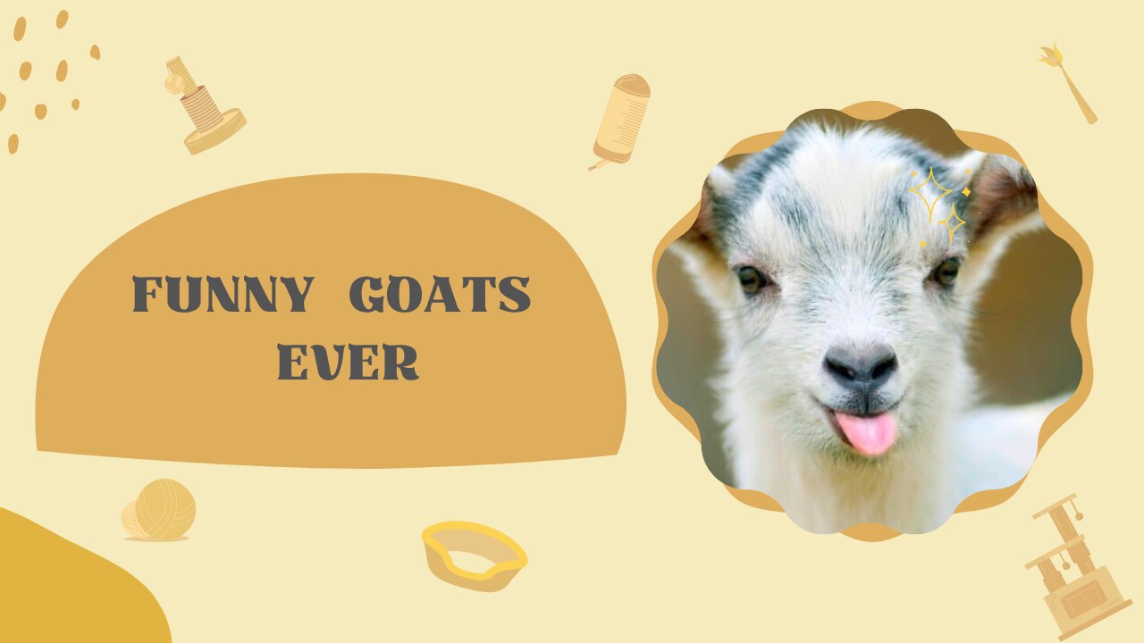 GOATS Making Funny Sounds and Noises