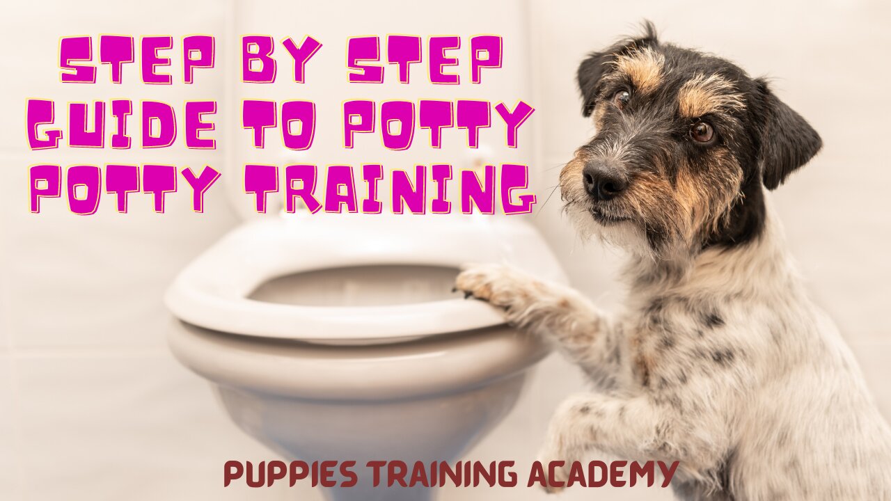 how to training your dog to potty