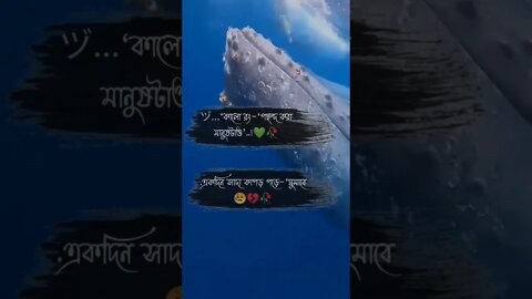 ヅ...‘কালো রং‒‘পছন্দ করা মানুষটাও’..!💚🥀.একদিন সাদা কাপড় পড়ে‒‘ঘুমাবে’..!😥💔🥀