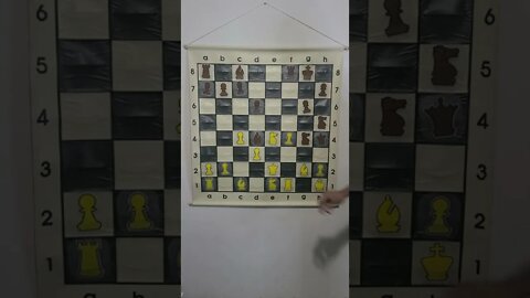 Be on High Alert When Your Being Attacked in Chess!