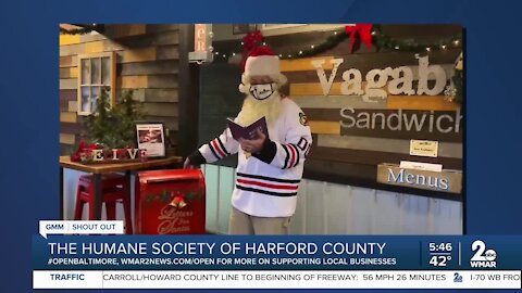 The Vagabond Sandwich Company
