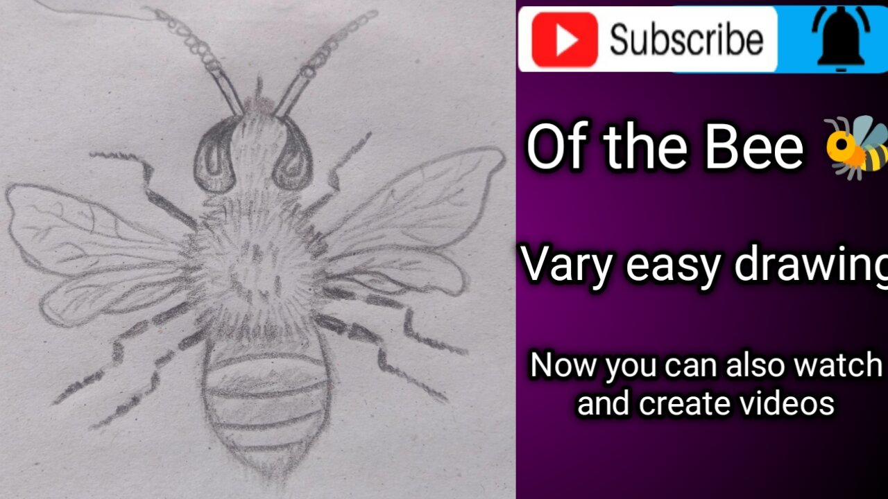 How to draw a honey bee|Cute honey bee drawing|Drawing for beginners step by step