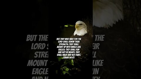 ‭‭Isaiah‬ ‭40:31 #Lord #strength #eagle #Christian #Jesus#God #bible