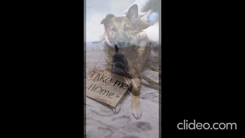 production id 4186960 CKfM6BNv cao