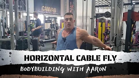 HORIZONTAL CABLE FLY 101