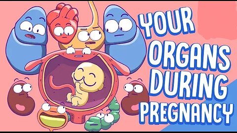 Your Organs During Pregnancy 💓