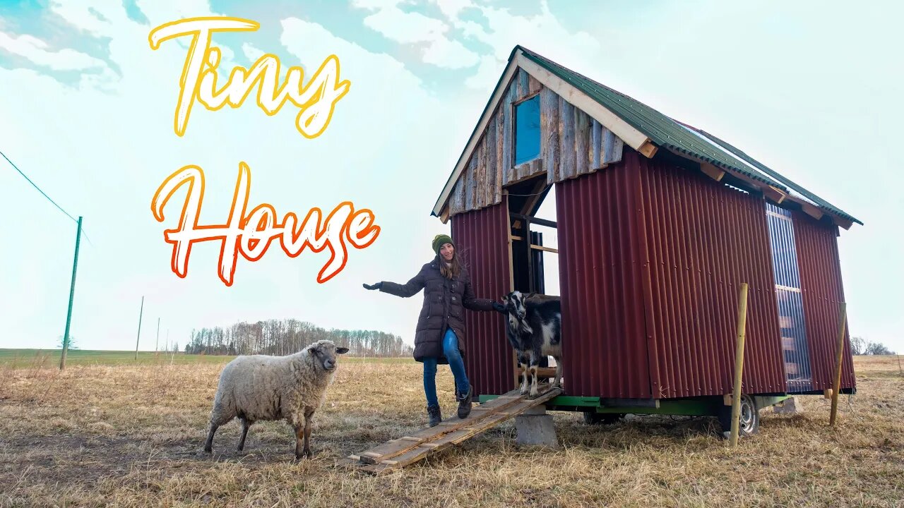 Tiny House for Animals (MOVING IN) FINAL PART