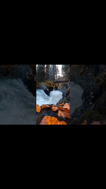 Alaska is famous for its natural resources.