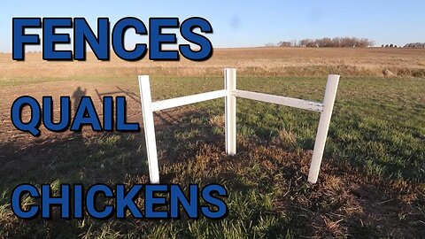 Meat Birds Are On Grass | TImeless Fence System Started | Quail Are Laying Eggs