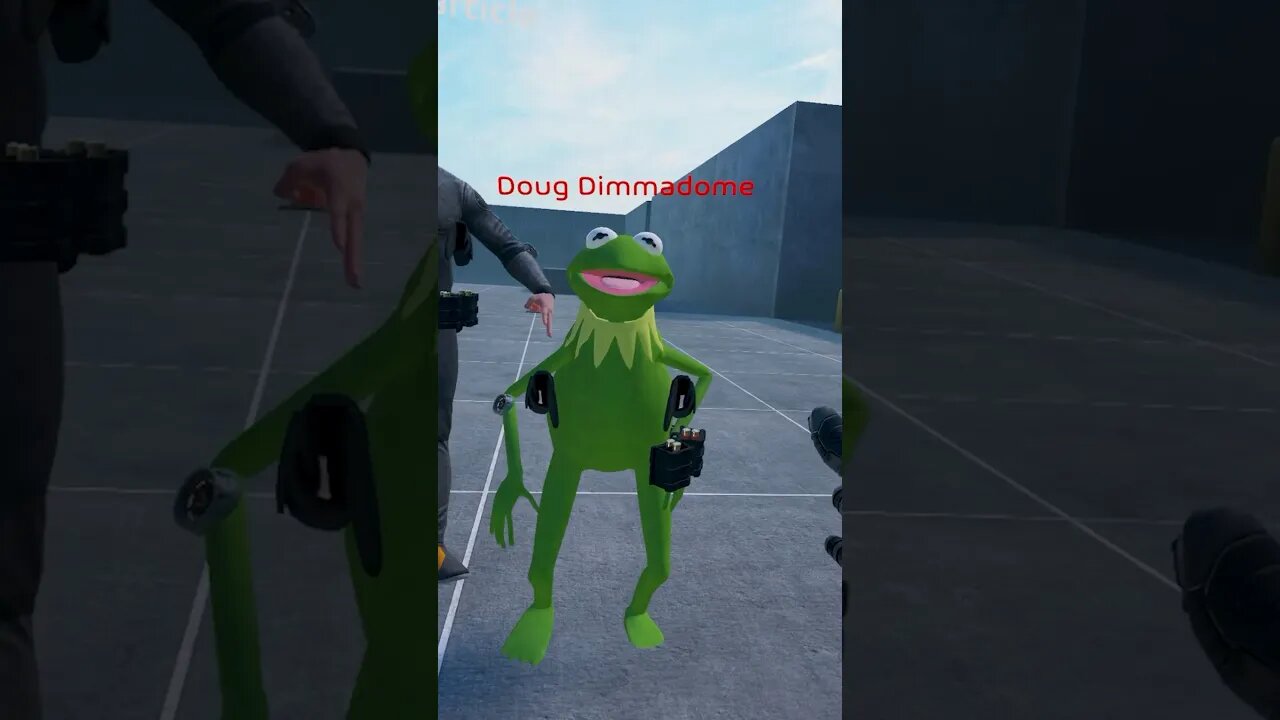 What it feels like to be HELD by Kermit (real)