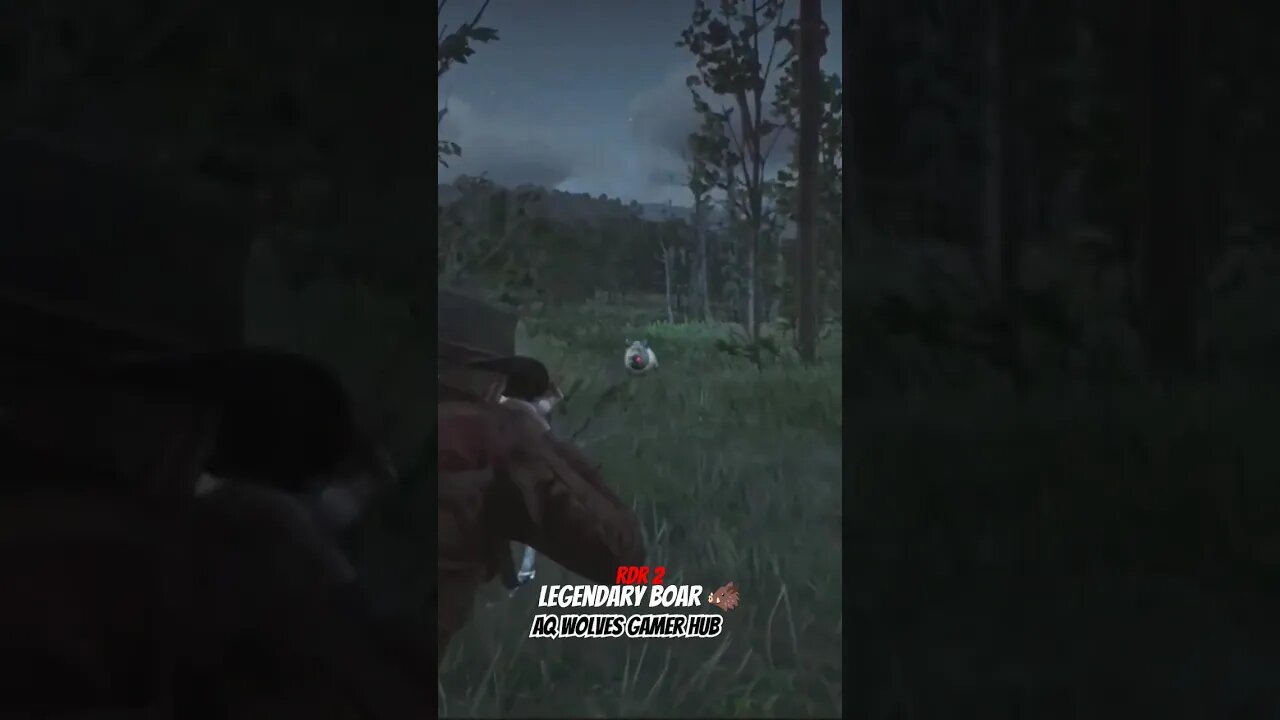 legendary boar hunt #shorts #rdr2 #subscribe #trending