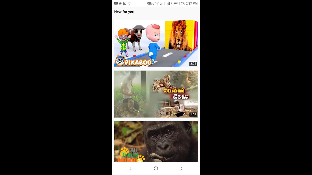 Lern wild animal and funny