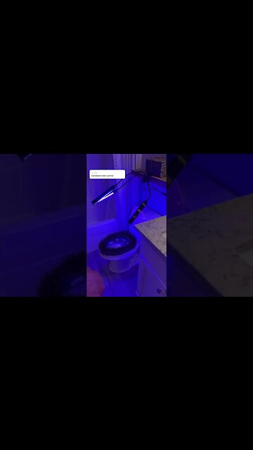 How to Grow Grass Inside