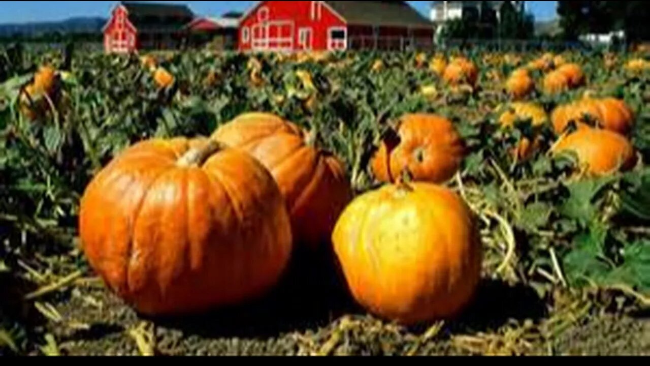 NCTV45’S LAWRENCE COUNTY COMMUNITY HAPPENINGS NOV 14 THRU NOV 20 2021