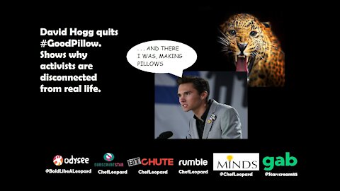 Epic Fail! David Hogg quits #GoodPillow. Shows why activists are disconnected from real life.