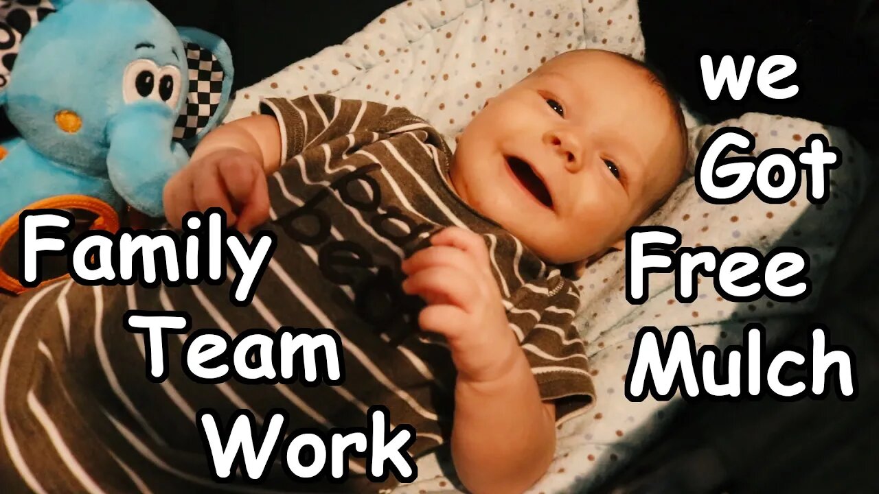 Family/ Daddy's Home/ Super Simple Farm Dinner
