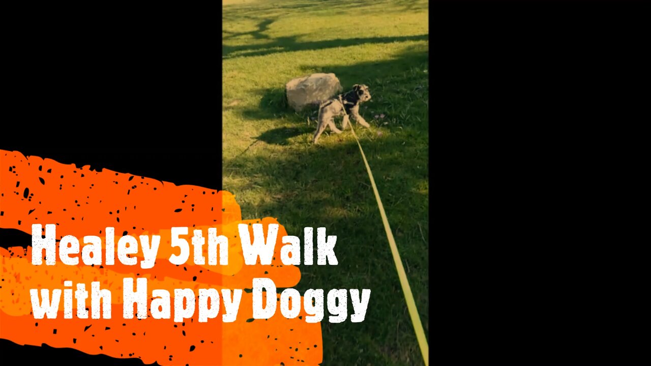 Healey 5th Walk with Happy Doggy