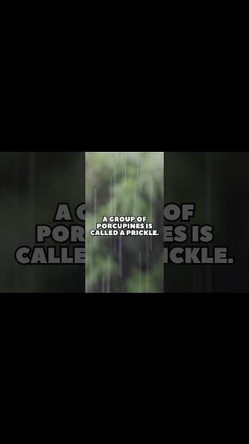 Incredible Random Facts That Will Expand Your Mind! [2023] #shorts #facts #viralshorts #fyp #life