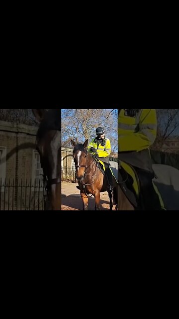 Police officer would love to work in Australia #clarencehouse