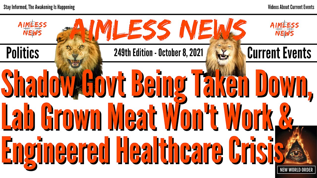 Shadow Govt Being Taken Down, Lab Grown Meat Won't Work & Engineered Healthcare Crisis