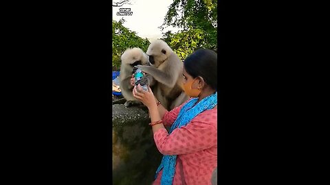 I fed the monkey with love 🙏🙏🙏🙏