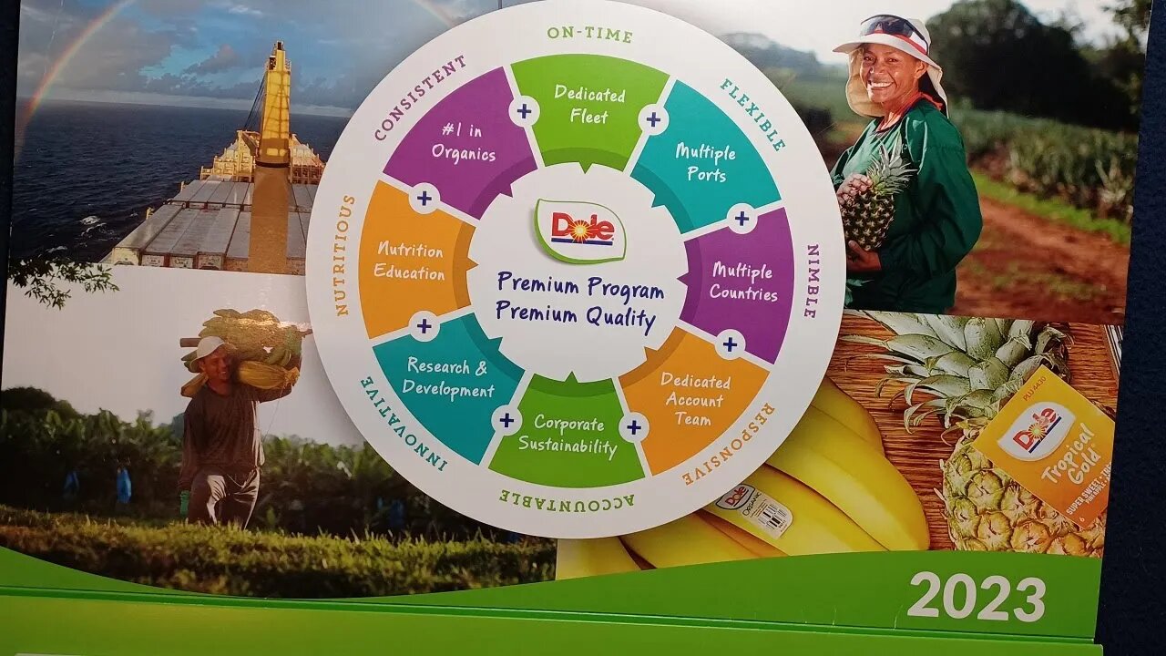 CALENDAR REVIEW : DOLE 2023 Expandable Calendar. October 2022 to January 2024