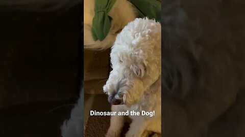Dinosaur and Doggies