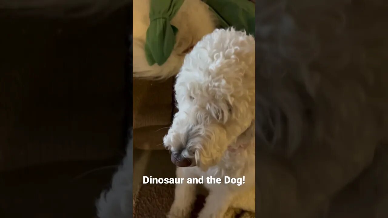 Dinosaur and Doggies