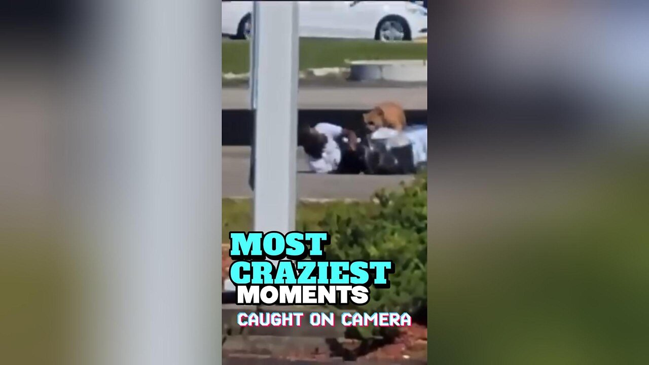 Most Funniest Moments Caught on Camera