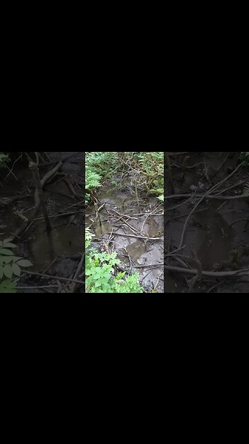 Thank You For Sunshine Thankyou For Rain Can You See It?