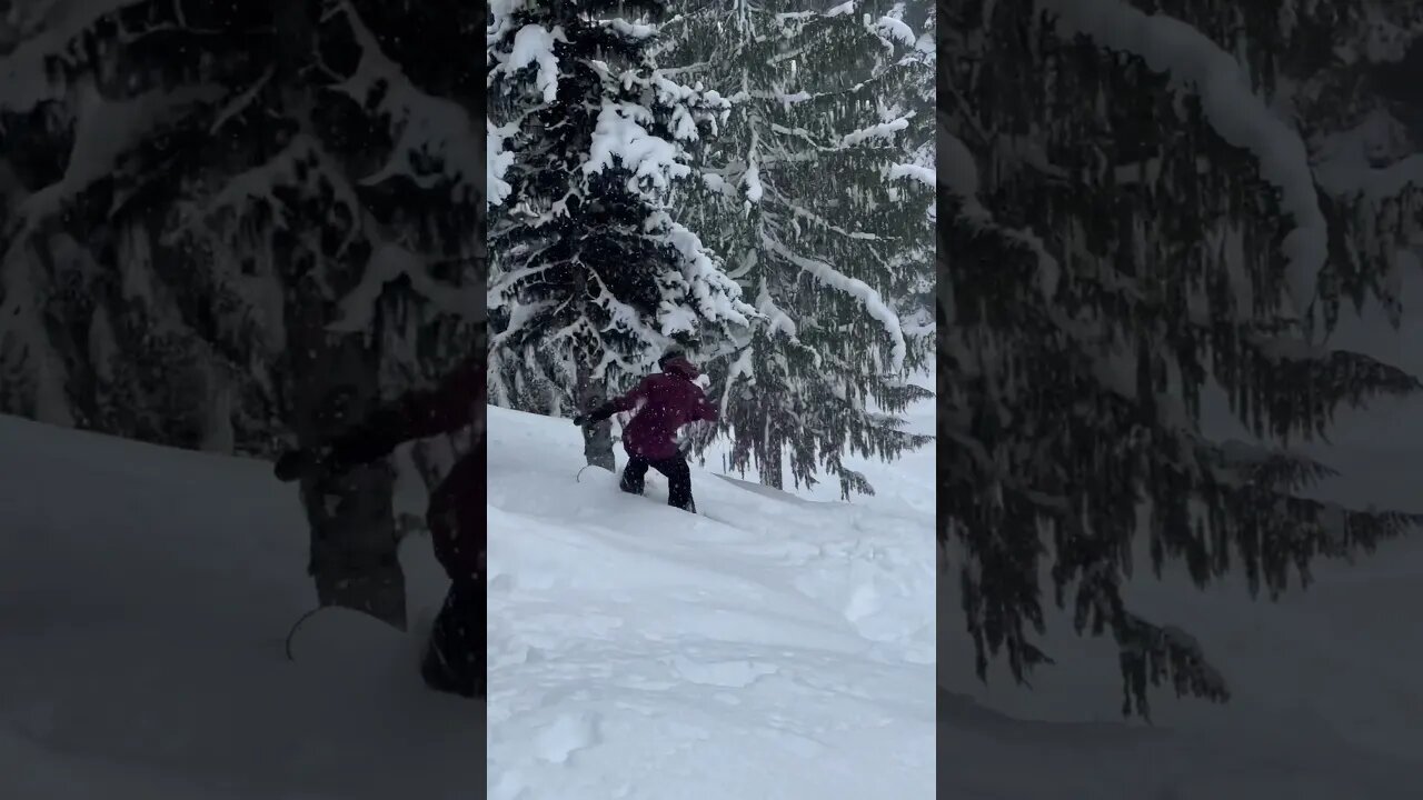 Slow send in deep pow 😂 #splitboarding #snowboarding #snow #jeeplife #wintercamping