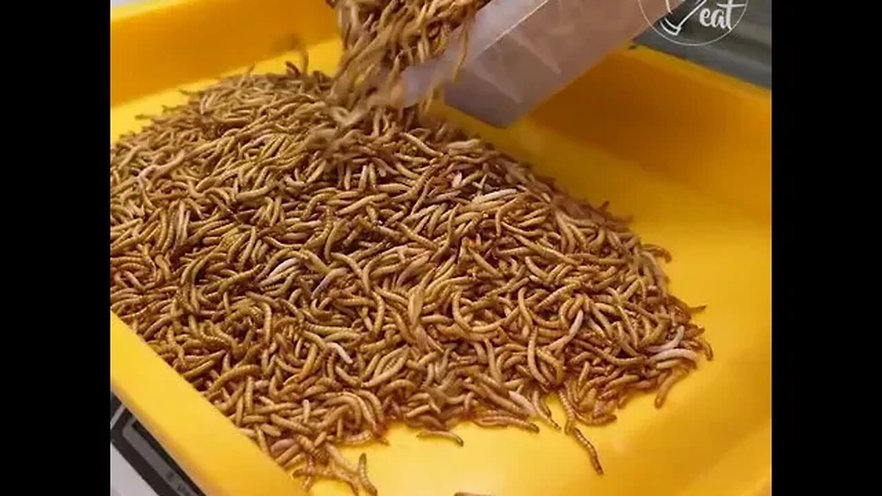 Mealworm Receipe- Korean Food