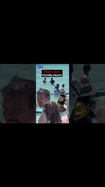 Navarre Beach in Florida a shark was spotted in shallow waters very close to swimmers.