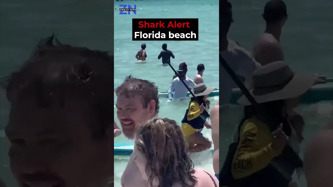 Navarre Beach in Florida a shark was spotted in shallow waters very close to swimmers.