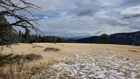 Hiking the Pioneer Mts.