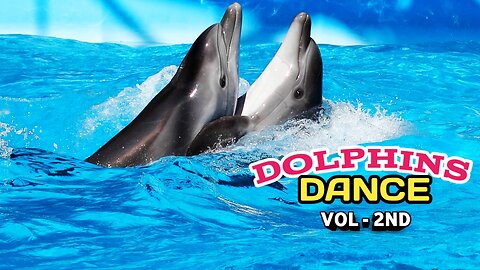 Intelligent Dolphins Dance -(vol-2nd) |