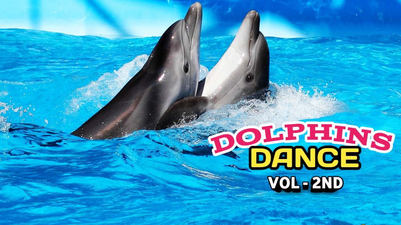 Intelligent Dolphins Dance -(vol-2nd) |