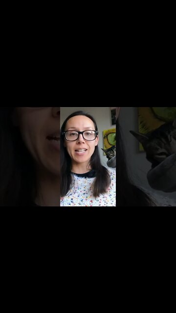 Homemade raw cat food meal prep supplies every cat parent needs #shorts