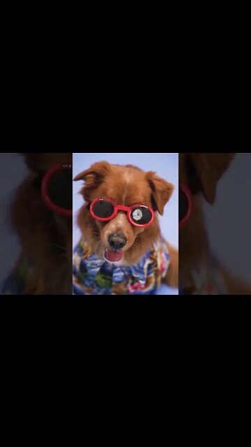 pexels rodnae productions 7515918