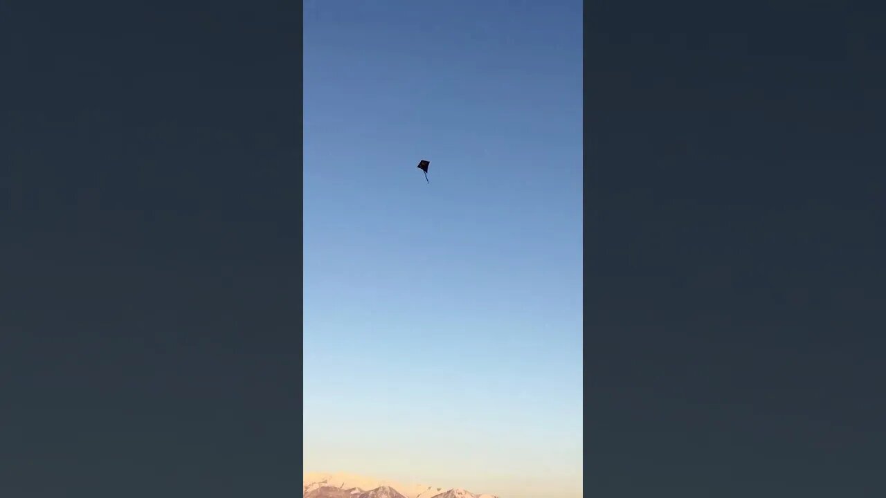 Jon Flying a Kite Is The Cutest Thing You'll See All Day! #shorts