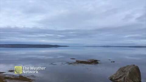 Pup enjoys a run on the rocks down by the bay