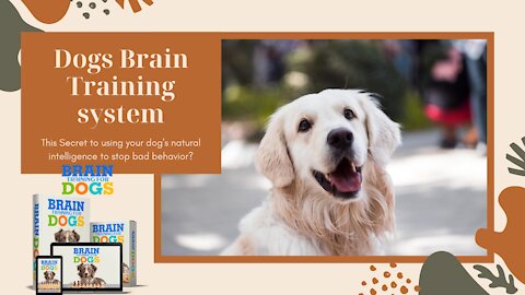 Dogs Brain training, a simple training strategy for all breeds 2021