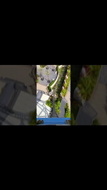 I feel the need… the need for speed. 😎✈️🦖 #shorts