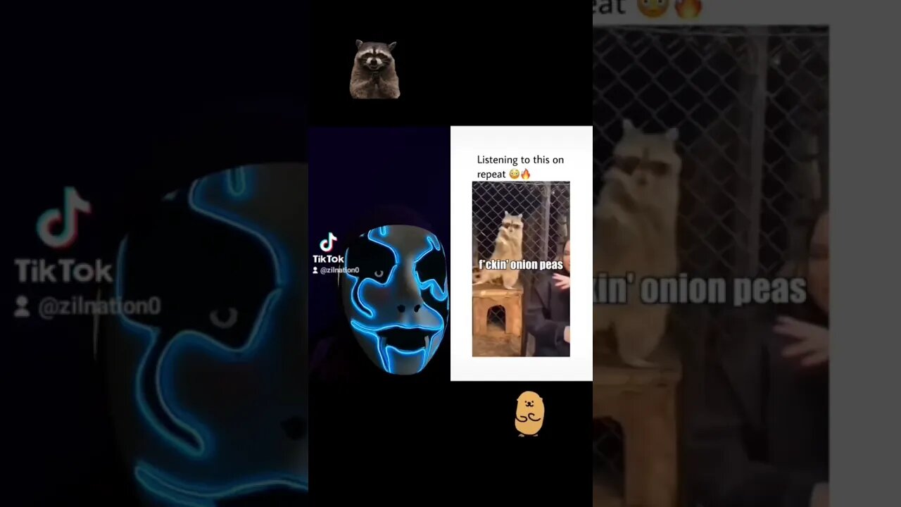 Funny tik tok clip